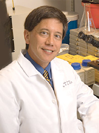 Timothy C. Wang, MD, AGAF