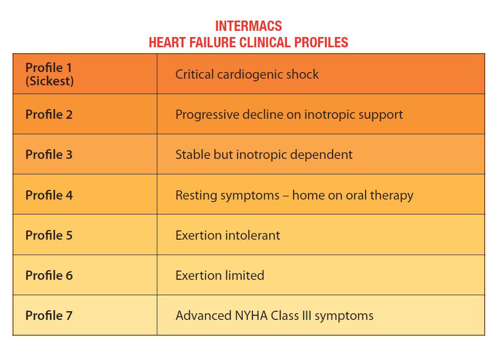 Ventricular Assist Devices as Destination Therapy Why and When to Make