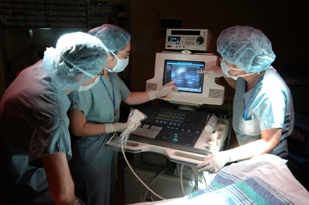 sonography students