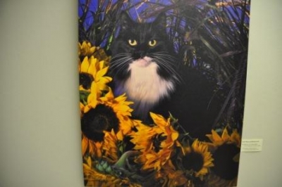 Photo of a black cat with sunflowers
