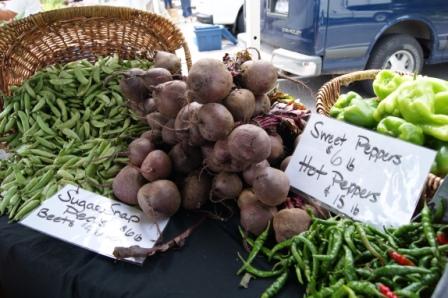 NewYork-Presbyterian/Hudson Valley Hospital Farmers Market to add shuttle services for May opening