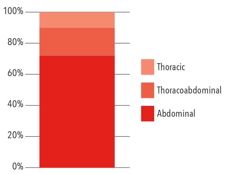 Endovascular Procedures by Location 2016 bar graph