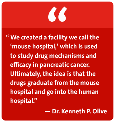 We created a facility we call the 'mouse hospital,' which is used to study drug mechanisms and efficacy in pancreatic cancer. Ultimately, the idea is that the drugs graduate from the mouse hospital and go into the human hospital. - Dr. Kenneth P. Olive