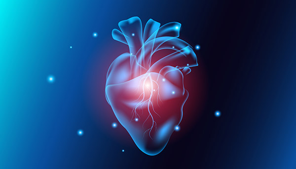 advances-cardiac-2023-06-heart-vector-image