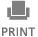 Print Icon