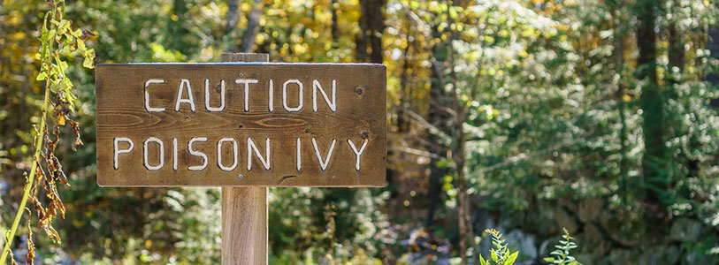 caution poison ivy sign