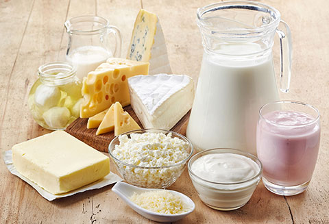 dairy products