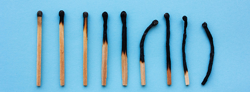 a line of burnt matches
