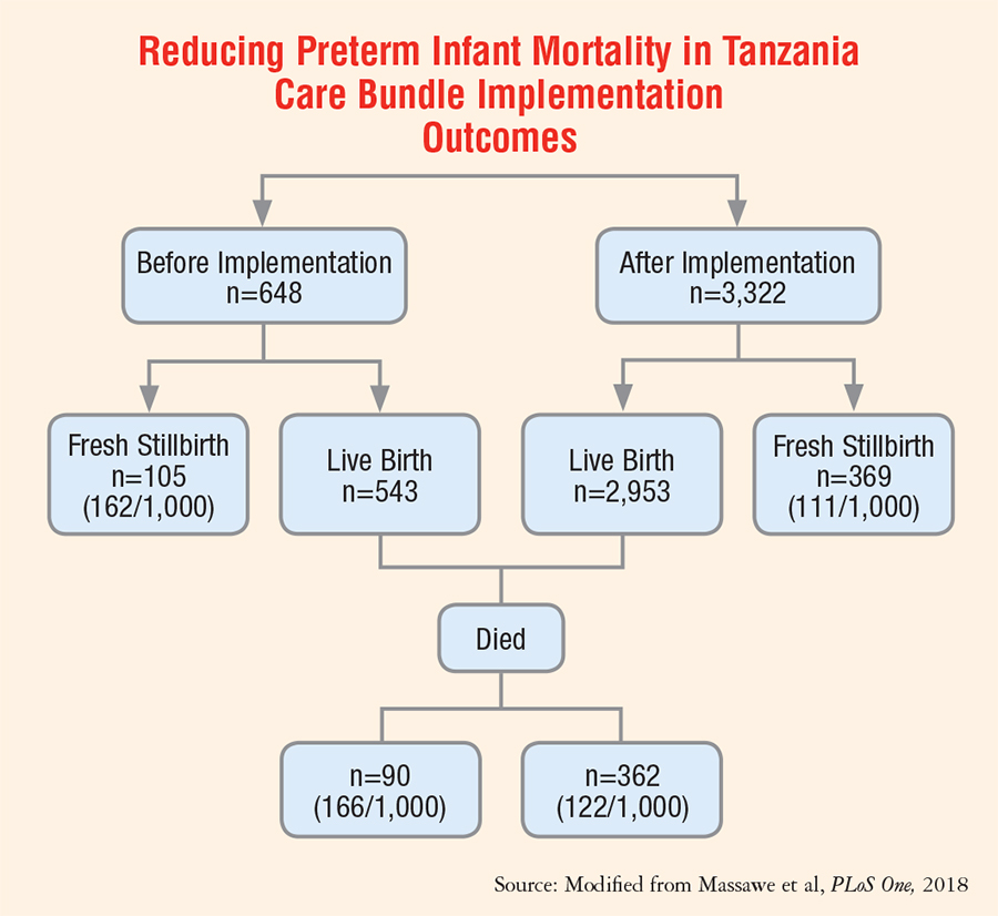 Reducing Preterm Infant Mortality in Tanzania Care Bundle Implementation Outcomes
