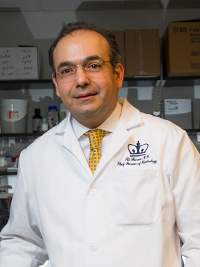 image of Dr. Ali Gharavi