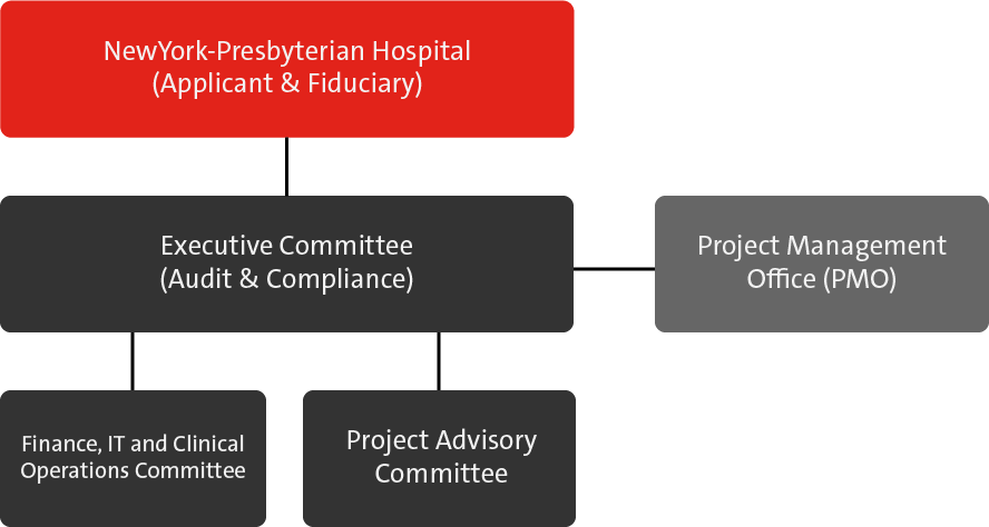 New York Presbyterian Organizational Chart