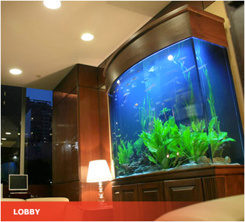 a fish tank in a room