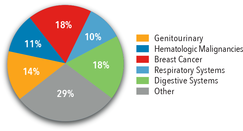 New Cancer Cases Pie Chart