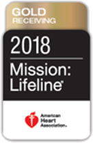 GOLD RECEIVING 2018 Mission: Lifeline® Heart award