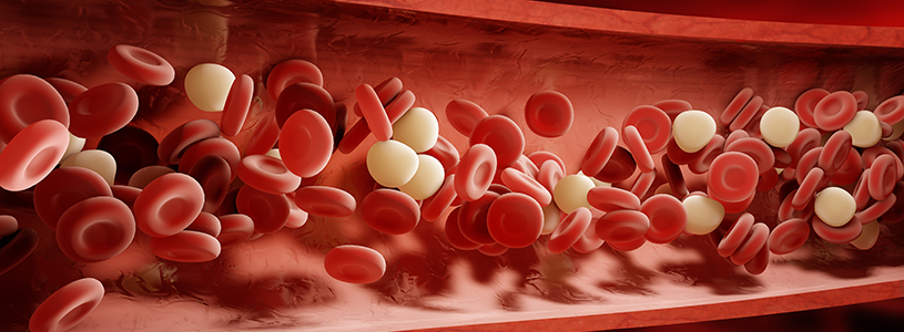 illustration of red and white blood cells