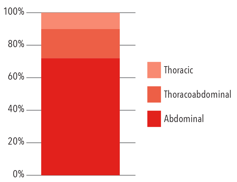 Endovascular Procedures by Location 2016 bar graph