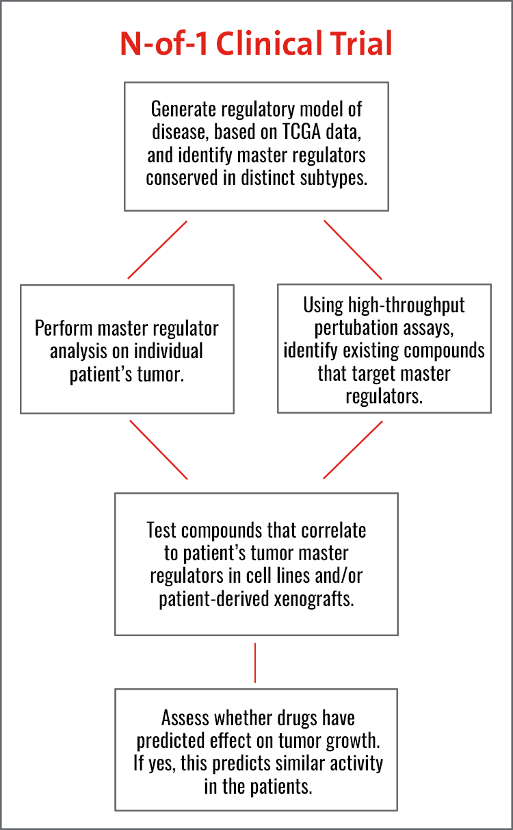 Clinical Trial Flow Chart