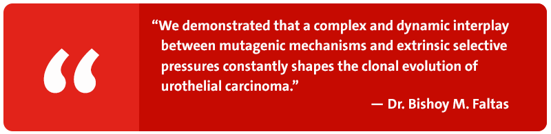 We demonstrated that a complex and dynamic interplay between mutagenic mechanisms and extrinsic selective pressures constantly shapes the clonal evolution of urothelial carcinoma. - Dr. Bishoy M. Faltas