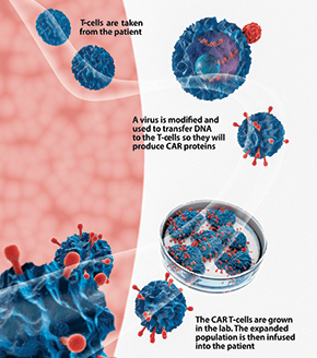 Illustration of CCCP using the Illumina HiSeq2500 platform, a sequencing-only test, to query 467 cancer-related genes.