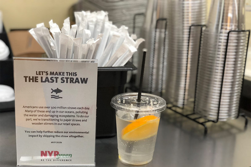 Cup with paper straw next to a campaign flyer about switching to paper straws