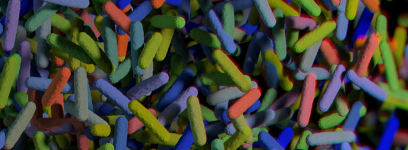 A pile of colorful bacteria 