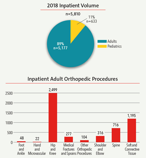 2018 Inpatient Volume and Inpatient Adult Ortho Procedures