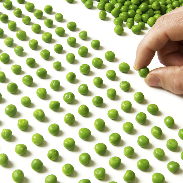 green balls lined up