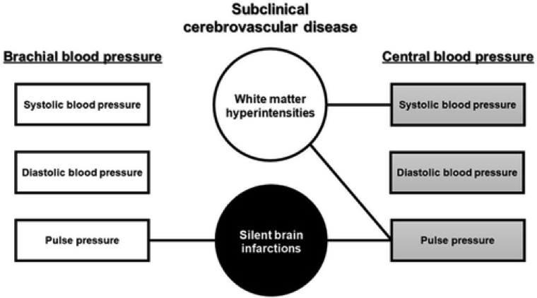 image of flow chart of subclinical cerebrovascular disease