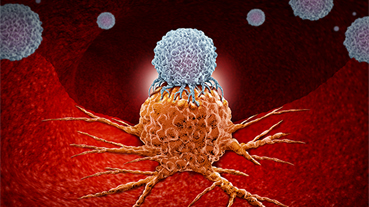 image of cancer cell