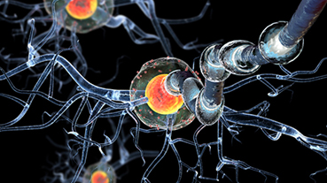 vector image of nerve cells during neurologic diseases, tumors, and brain surgery