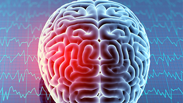 vector image of brain with red highlight on the left side