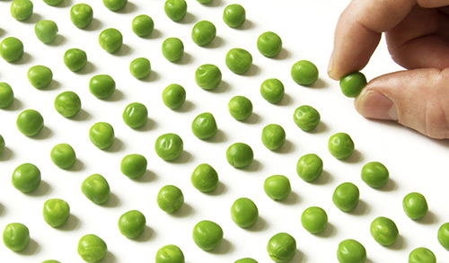 perfectly lined peas