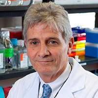 Richard P. Mayeux, MD, MSc