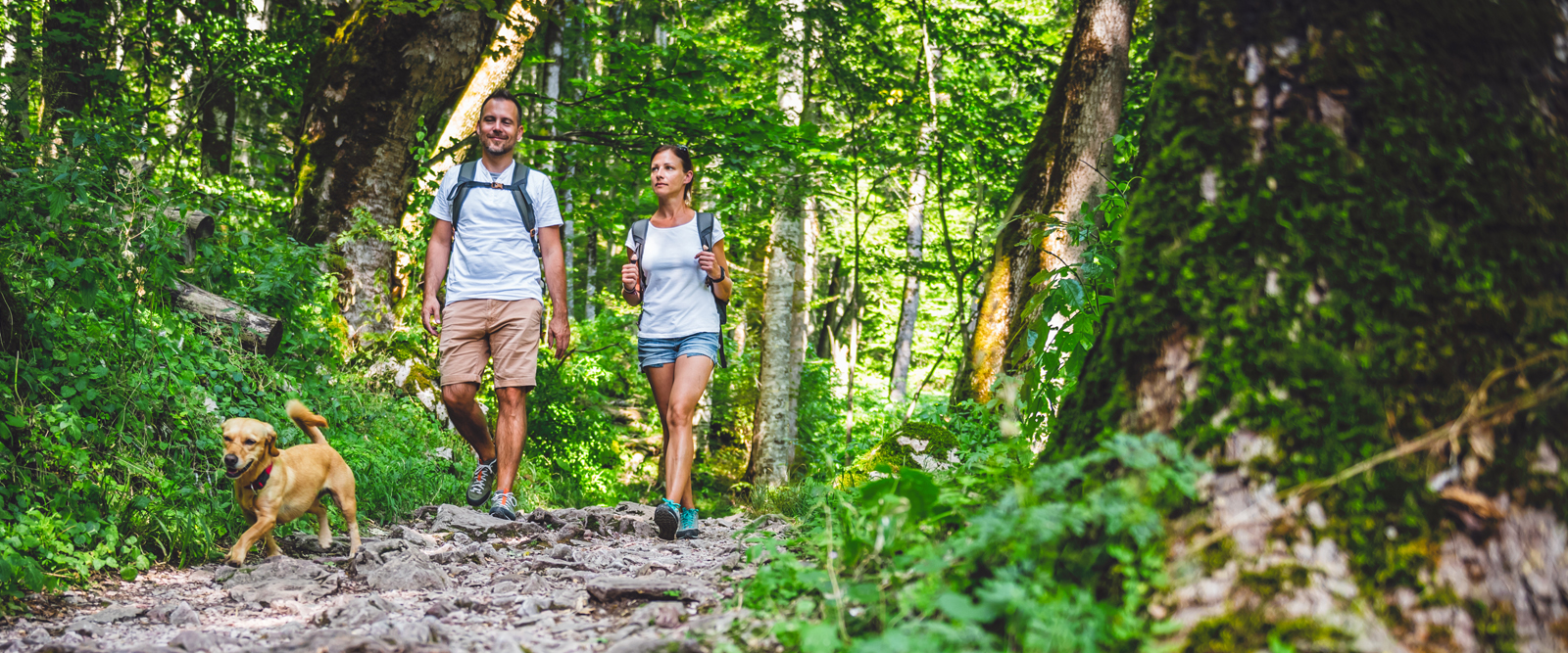 Man and woman walking on hiking trail with dog