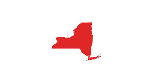 vector image of new york state