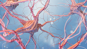 image of neurons and nervous system