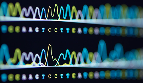 image of DNA sequencing