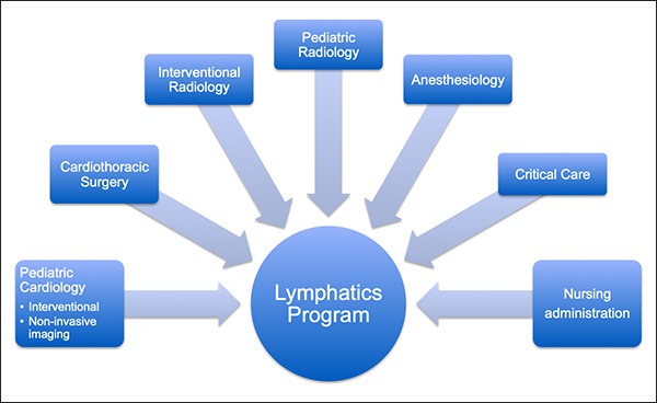 image of Lymphatics program chart
