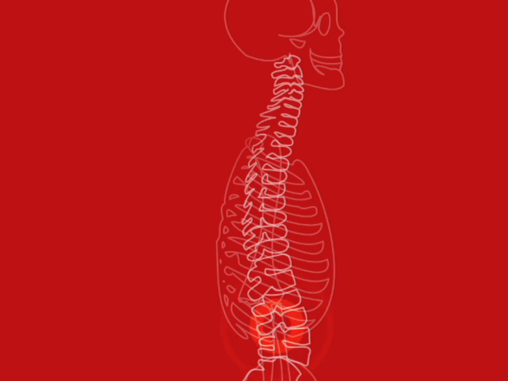 image of digital line spine illustration on red background