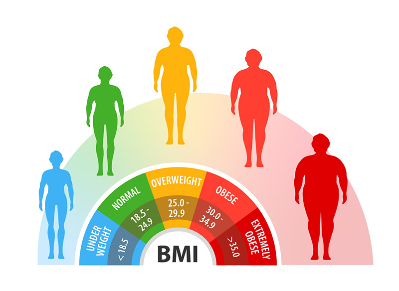 A BMI (body mass index) chart explaining the different levels.