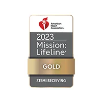 Mission: Lifeline Gold Award
