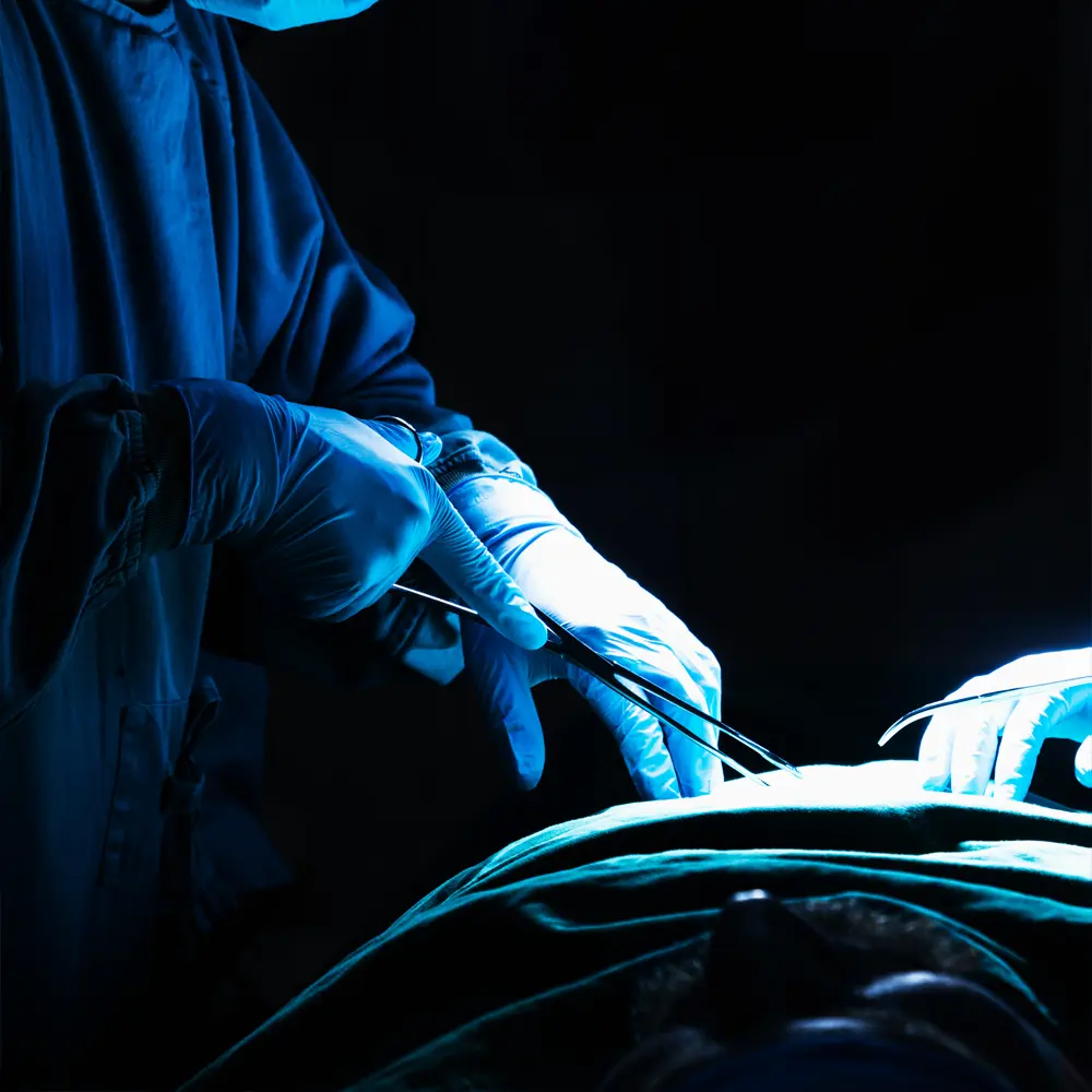 Neurology and Neurosurgery