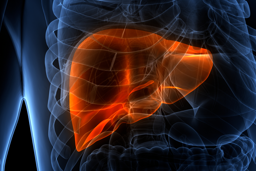 Program Offers Noninvasive Histotripsy for Cancerous Liver Tumors