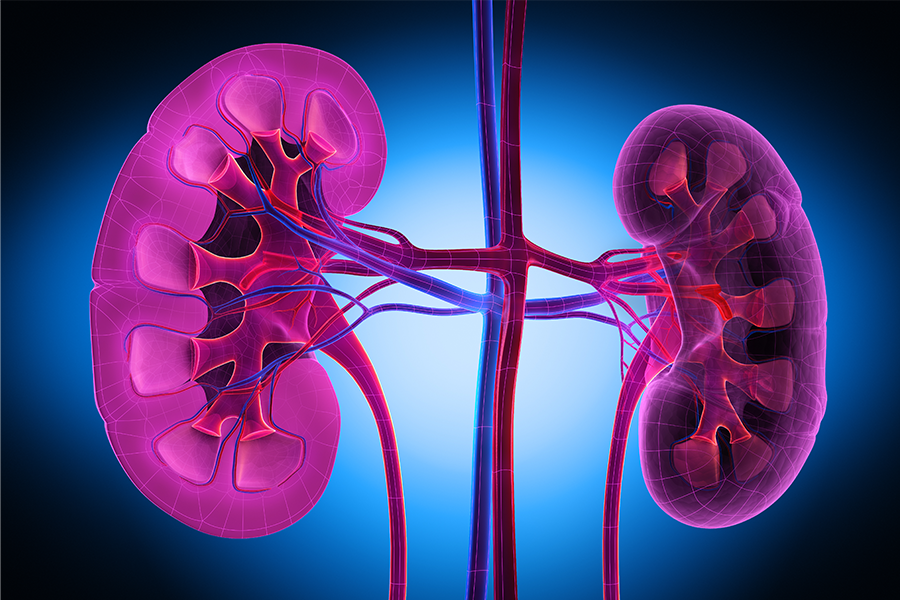 Preserving Kidney Function Through Renal Autotransplantation
