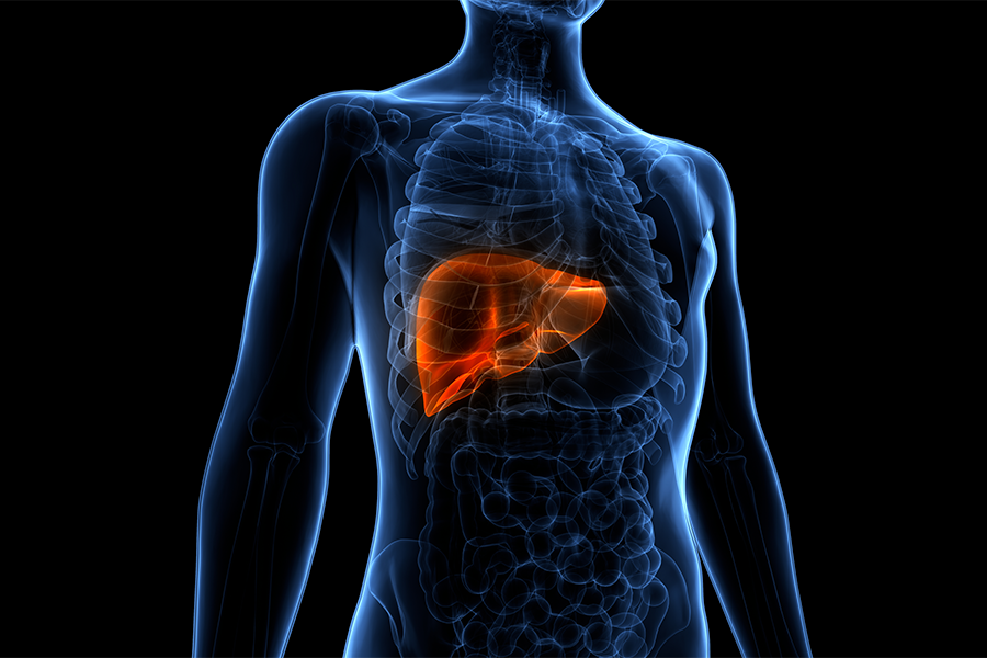 Program Offers Noninvasive Histotripsy for Cancerous Liver Tumors
