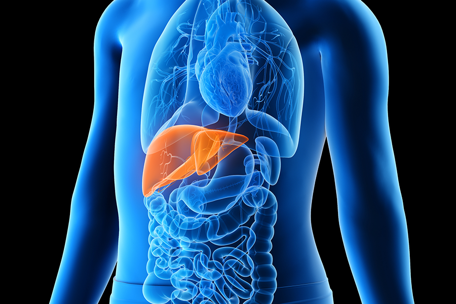 Reducing Waitlist Mortality for Pediatric Liver Transplant 10