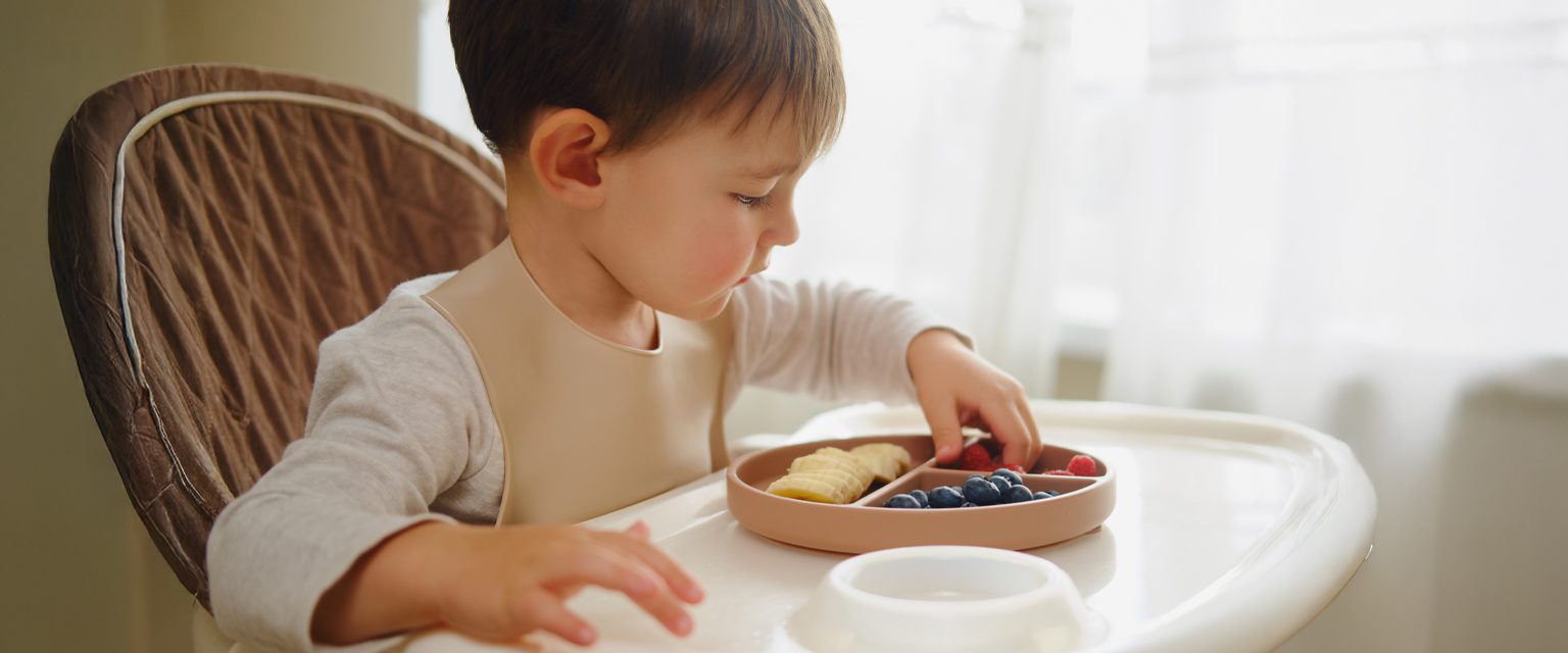 Have a Picky Toddler? 10 Mealtime Tips for Picky Eaters