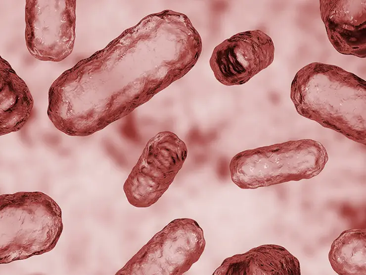 Can the Gut Microbiome Detect Autism?