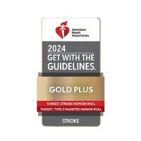 AHA Gold Plus Performance Achievement Award for Stroke Care