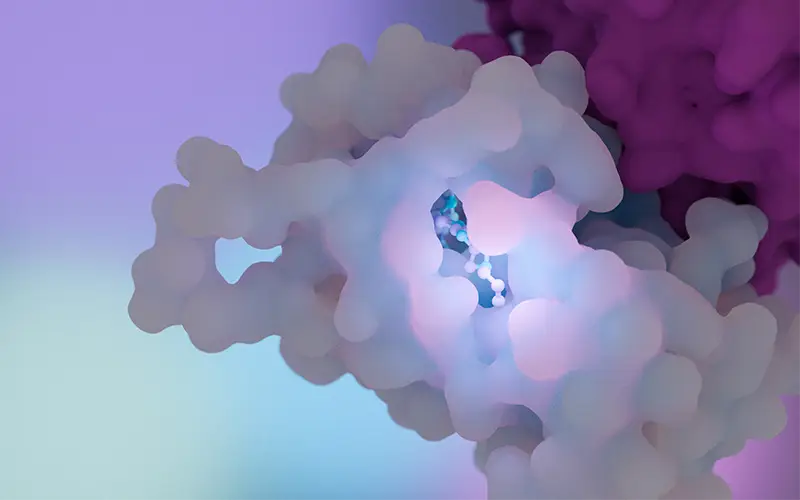 Medical illustration of camizestrant, a new medication for breast cancer.